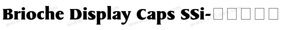 Brioche Display Caps SSi字体转换